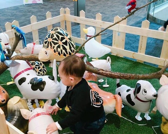 Balloon Animal Farm