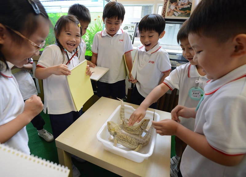 孩子在香港读幼稚园是这样的！终于明白赴港读书的人为何这么多！-服务动态
